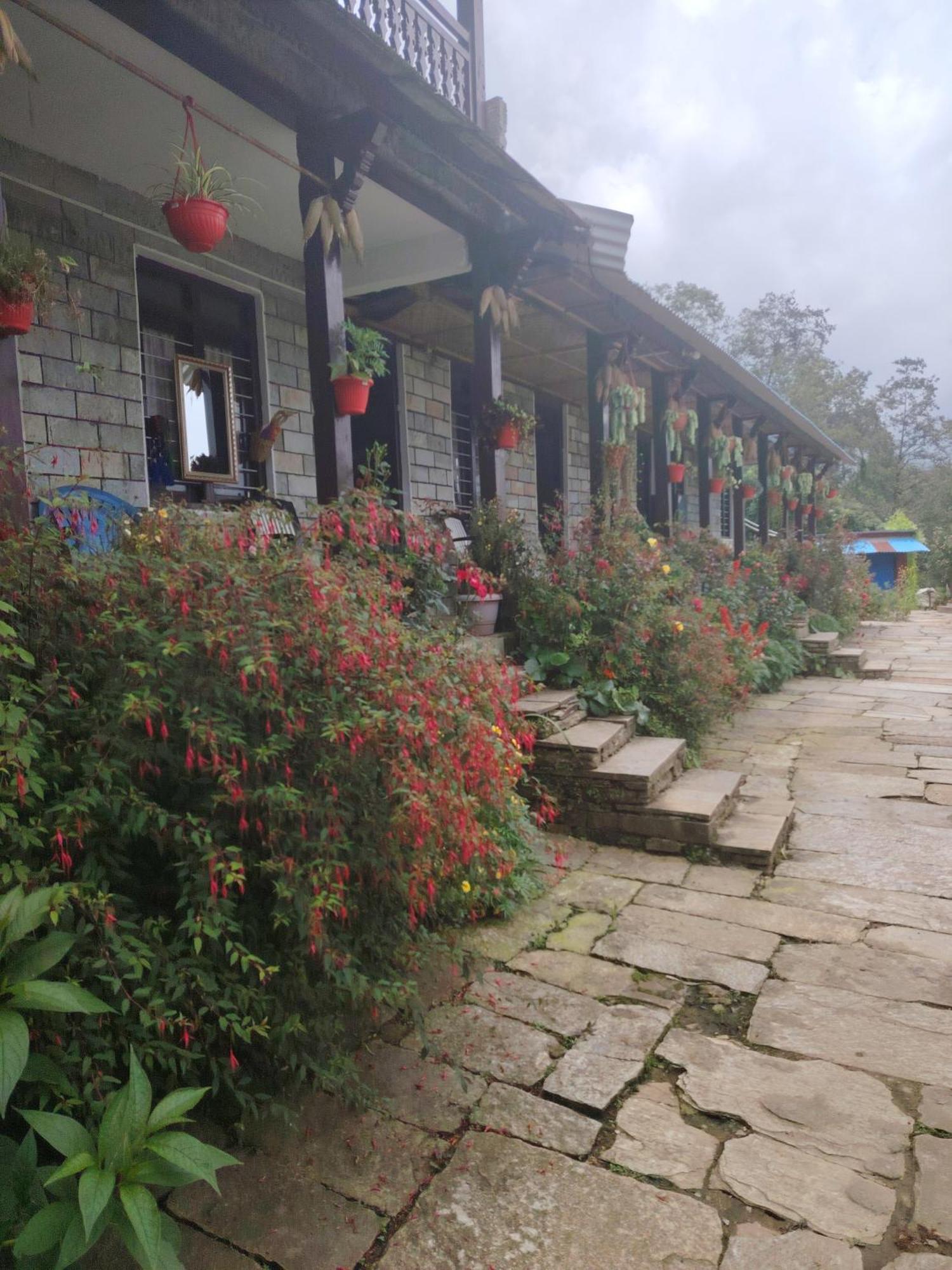 Panorama View Point Lodge And Restaurant, Annapurna-10, Ghandruk ,Agarju Astam المظهر الخارجي الصورة